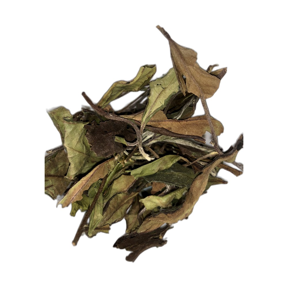 散茶
