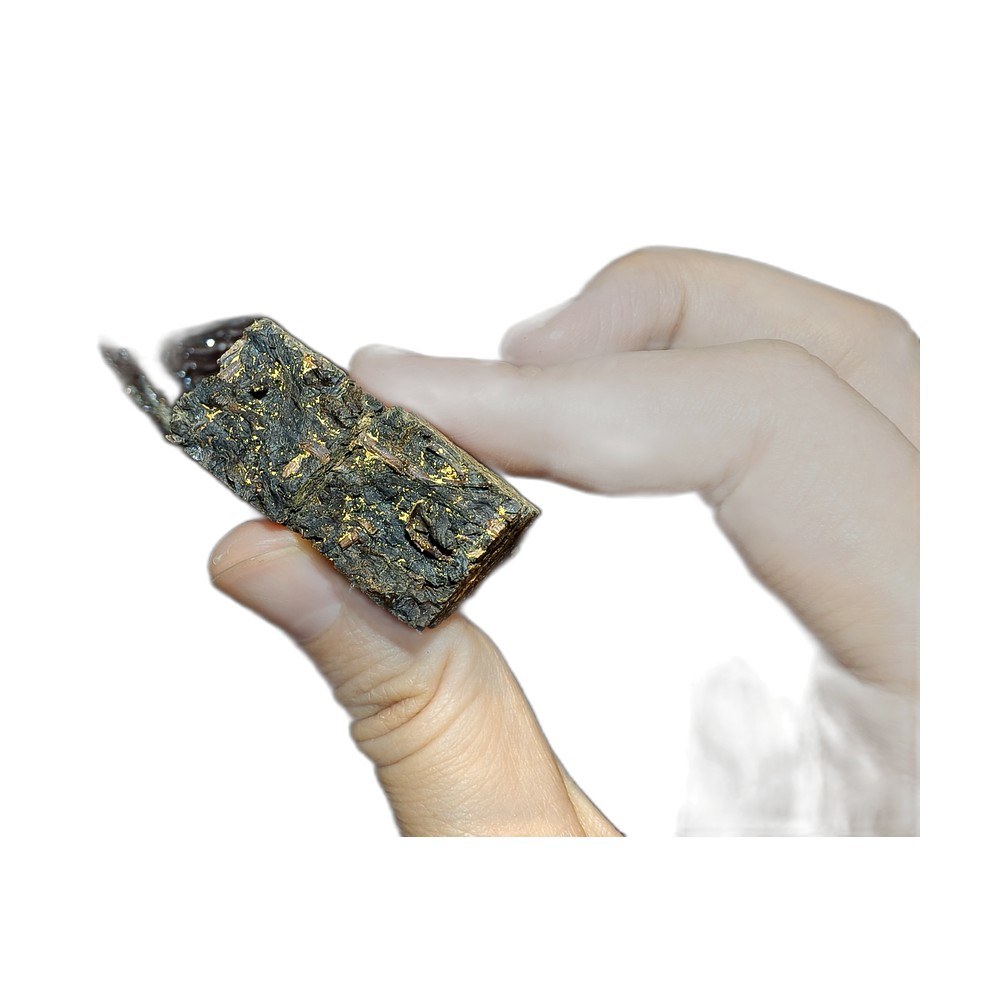 安化黑茶茯砖茶砖特写，手托茶砖，砖内可见金黄色金花